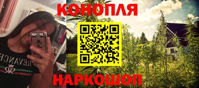ALPHA-PVP Партизанск
