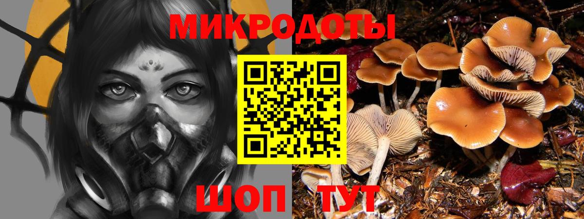 Ревда  Псилоцибиновые грибы прущие грибы  Псилоцибиновые грибы Cubensis  Вход с VPN 